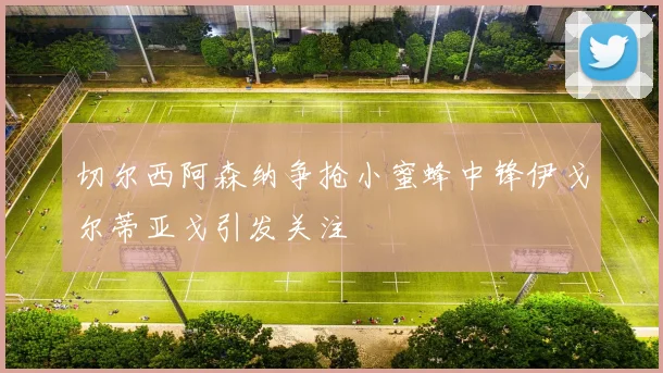 切尔西阿森纳争抢小蜜蜂中锋伊戈尔蒂亚戈引发关注