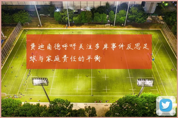 费迪南德呼吁关注多库事件反思足球与家庭责任的平衡